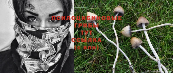 PSILOCYBIN Бородино