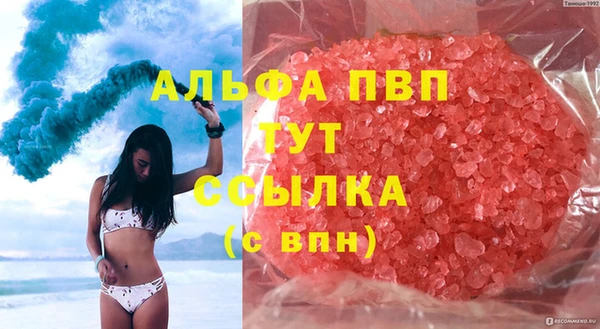 PSILOCYBIN Бородино