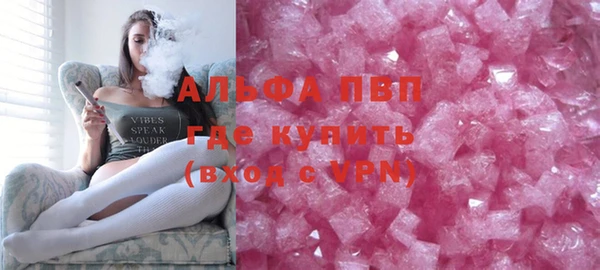 PSILOCYBIN Бородино