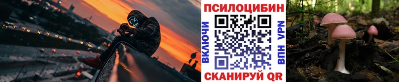 закладки  Братск  Галлюциногенные грибы мицелий 